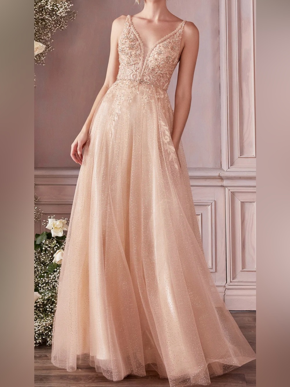 Embellished Blush/Champagne V-Neck Tulle Dress - Picture 1 of 3